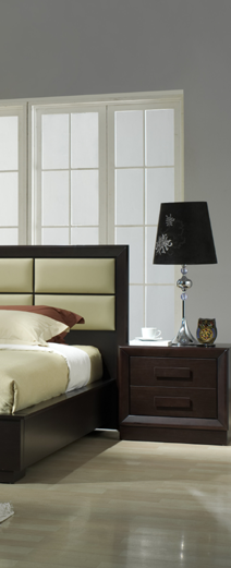 Hanz Paints | PROFESSIONAL PAINTING SERVICES