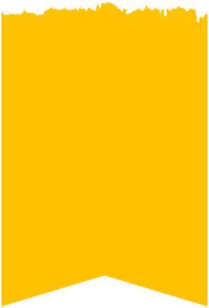 Hanz Paints | PROFESSIONAL PAINTING SERVICES